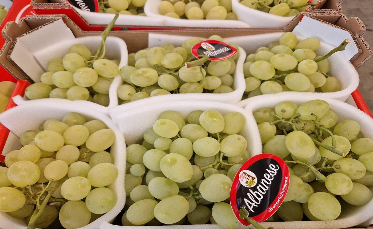 Uva da tavola Vittoria - Italia, prezzo 2,20 euro/kg